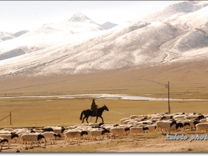 新疆旅遊